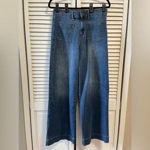 Banana Republic | High Rise Wide Leg Trouser Jean's, Size 28/6